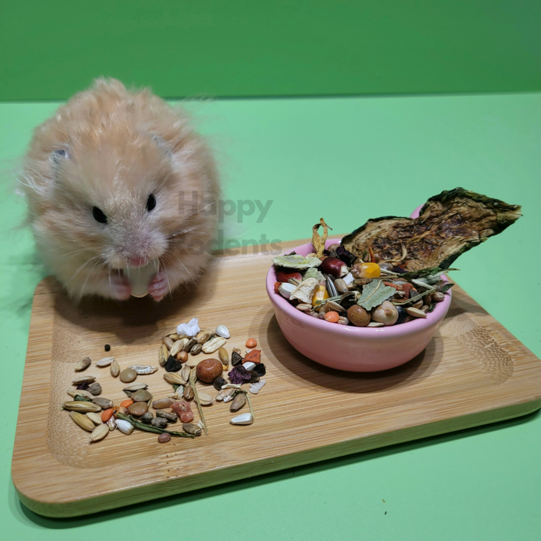 Syrian Hamster 'Premium Golden' Seed Mix
