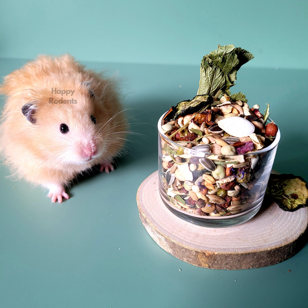 Syrian Hamster 'Spring Garden' Seed Mix