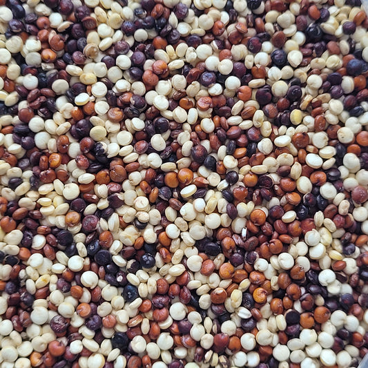 Tri-coloured Quinoa